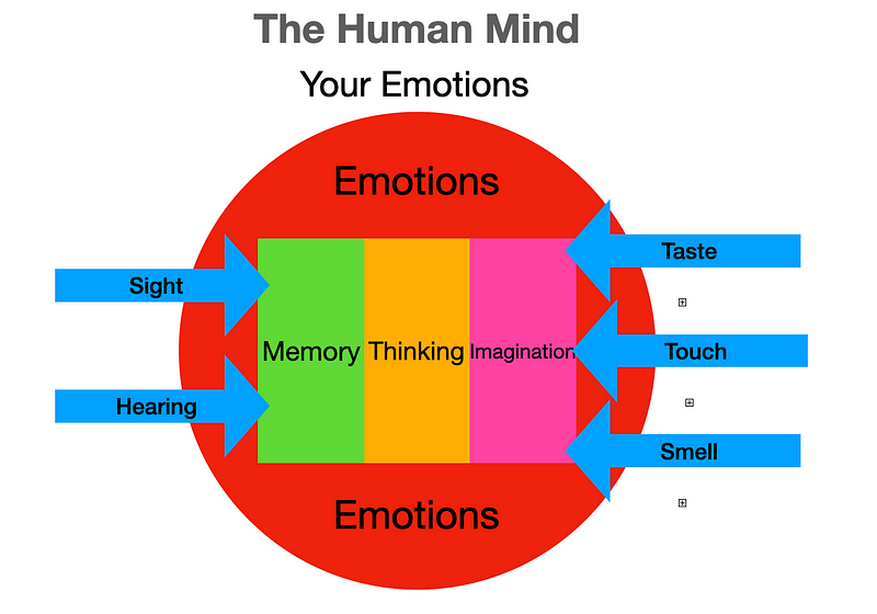 Emotional impact on decision-making and actions