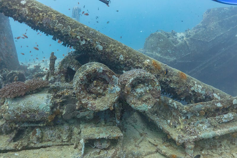 Underwater life thriving on the SS Thistlegorm wreck