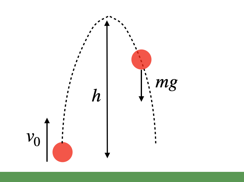 Illustration of a ball being tossed upwards