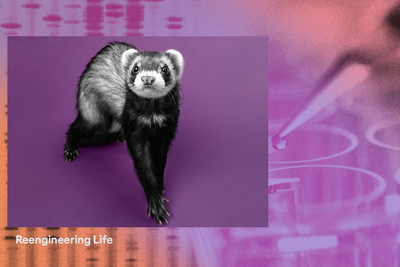 Cloning technology's role in species conservation