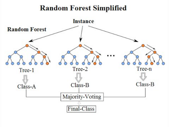 Diagram illustrating a random forest model