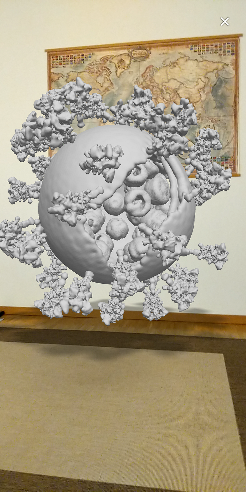 3D model of SARS-CoV-2 virus