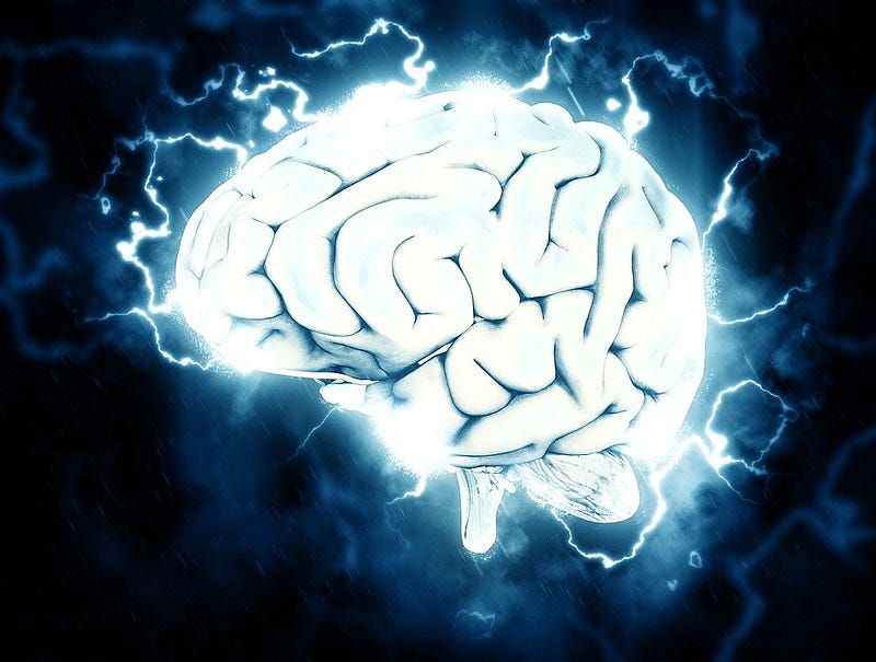 Neuron structure comparison in superagers.