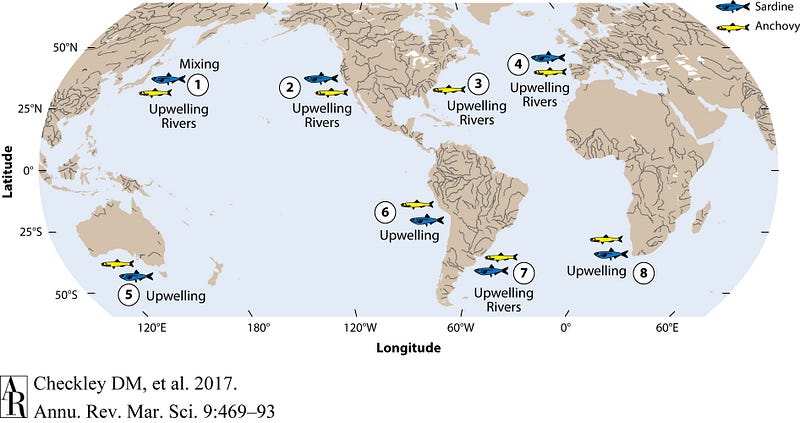 The ecological importance of the Humboldt Current