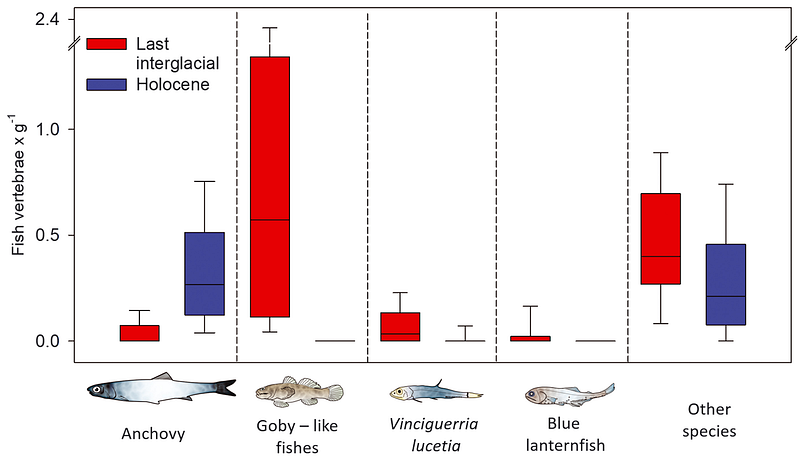 Changes in fish communities due to climate impact