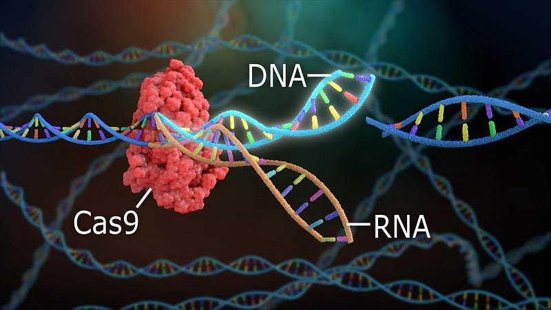 CRISPR-Cas9 gene editing overview