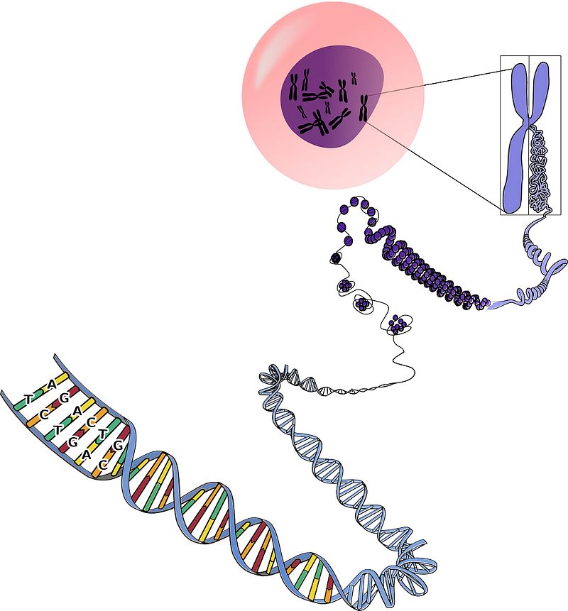 Historical context of gene therapy setbacks