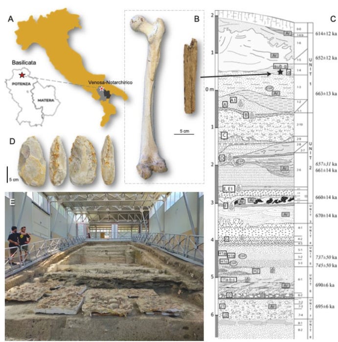 Geological overview of the Notarchirico site