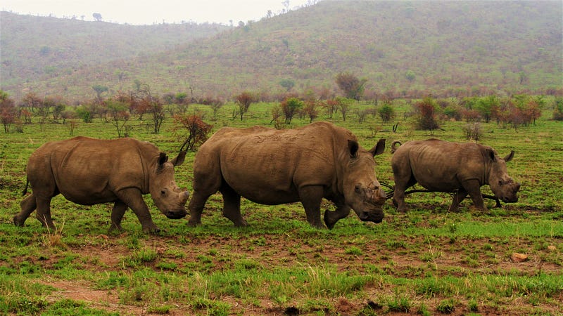 South African landscapes