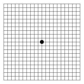 Amsler Grid Test for Eye Health