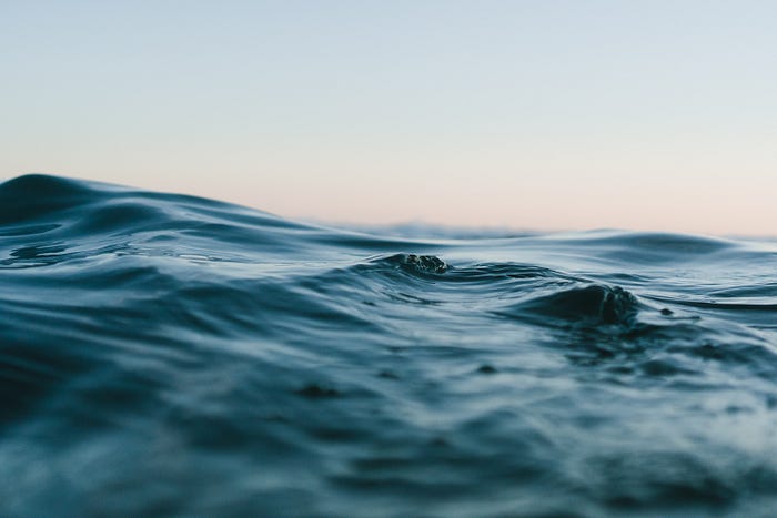 Dolphins swimming together in the ocean