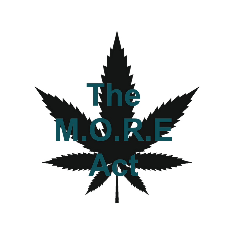 Understanding the M.O.R.E Act and its implications